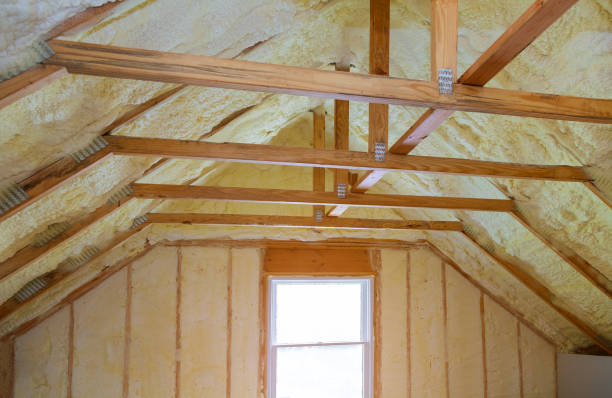 Best Geographic-Specific Insulation Services in Middleport, NY