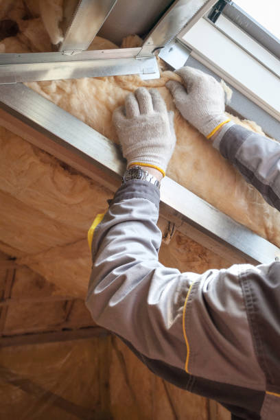 Best Specialized Insulation Services in Middleport, NY